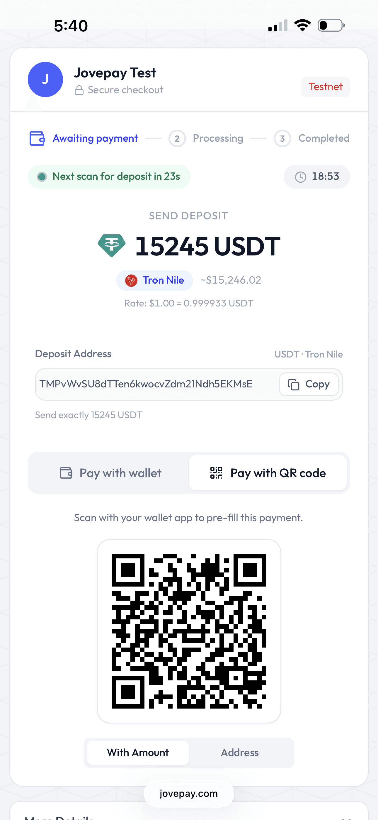 Payment deposit page with transfer payment method, QR code and deposit address